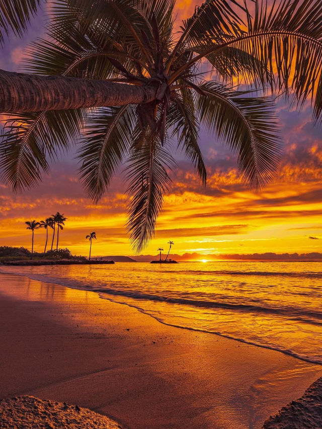 Why You Need to Book a Trip to Hawaii ASAP