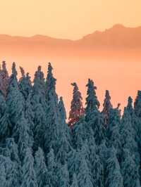 Falling in Love with the Black Forest in Winter 