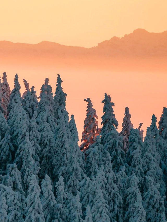 Falling in Love with the Black Forest in Winter 