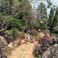 A Journey Through Nature and History: Dian Lake