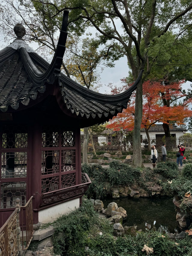 Must see garden in Suzhou 🍁