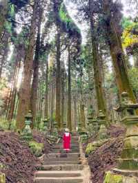 熊本観光☺️神秘的で荘厳な上色見熊野座神社⛩️✨