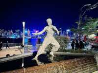 A Tranquil Solo Night at Victoria Harbour