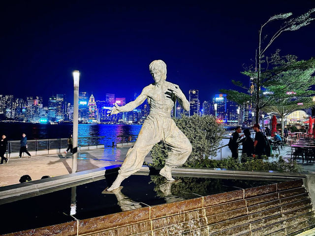 A Tranquil Solo Night at Victoria Harbour