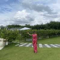 Lemon Me Farm เติมความสดชื่นกลางสวน ’เลม่อน‘