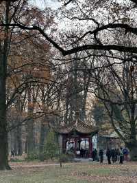 Royal park + autumn foliage + sunset = win