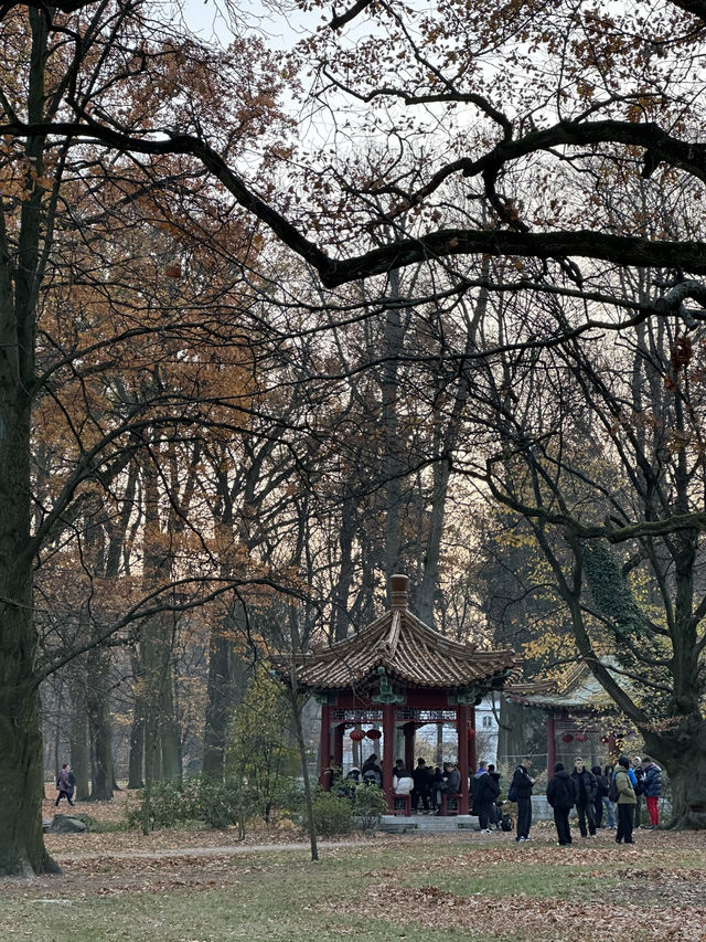 Royal park + autumn foliage + sunset = win