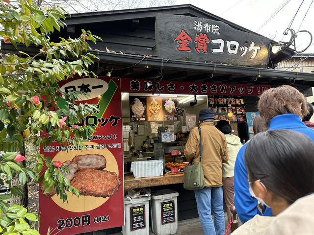 由布院是感受寧靜和傳統日本的首選🥹🌸