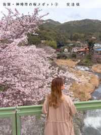 【桜スポット５選　📍佐賀・神埼市】