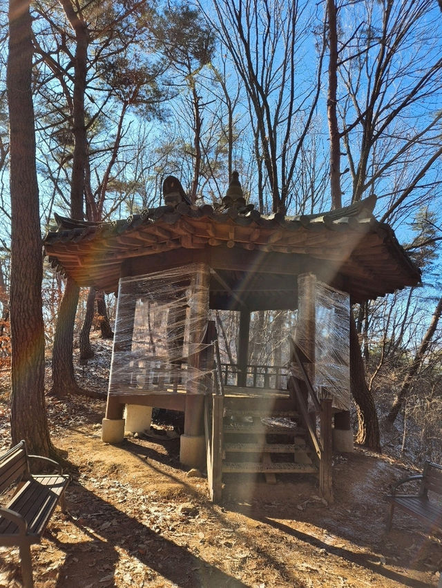 🌲 신년맞이 초보자도 즐길수 있는 겨울여행 광덕산 🌲