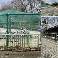 【大邱】無料で楽しめる動物園がある市民憩いの場【達城公園】　