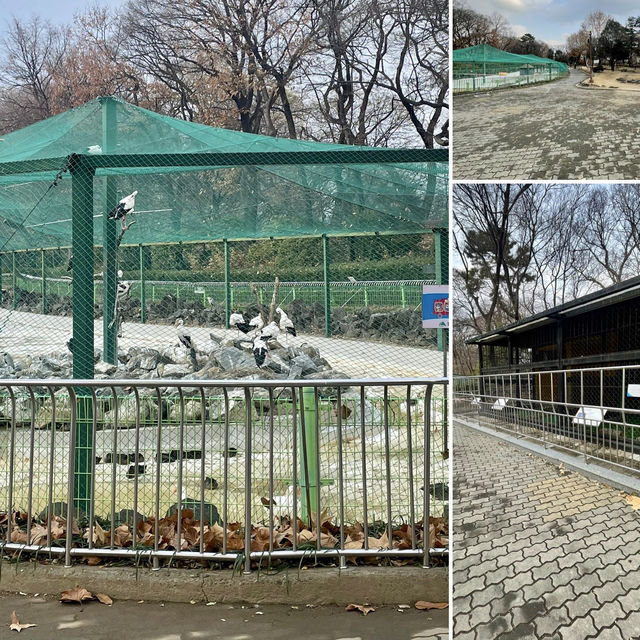 【大邱】無料で楽しめる動物園がある市民憩いの場【達城公園】　