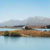 Lake Tekapo 