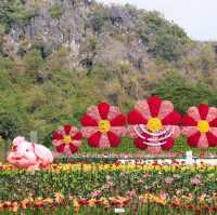 เชียงรายดอกไม้งาม 