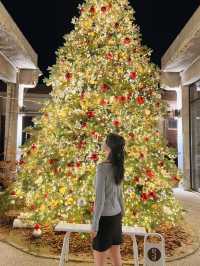 포천 어가길베이커리 크리스마스 느낌 🎄
