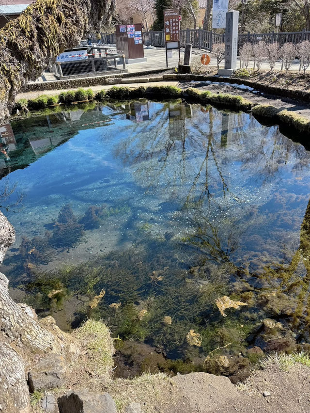 Oshino Hakkai: Japan’s Serene Natural Springs at the Foot of Mount Fuji