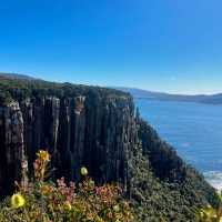 Cape Raoul - Tasmania's Tasman Peninsula 