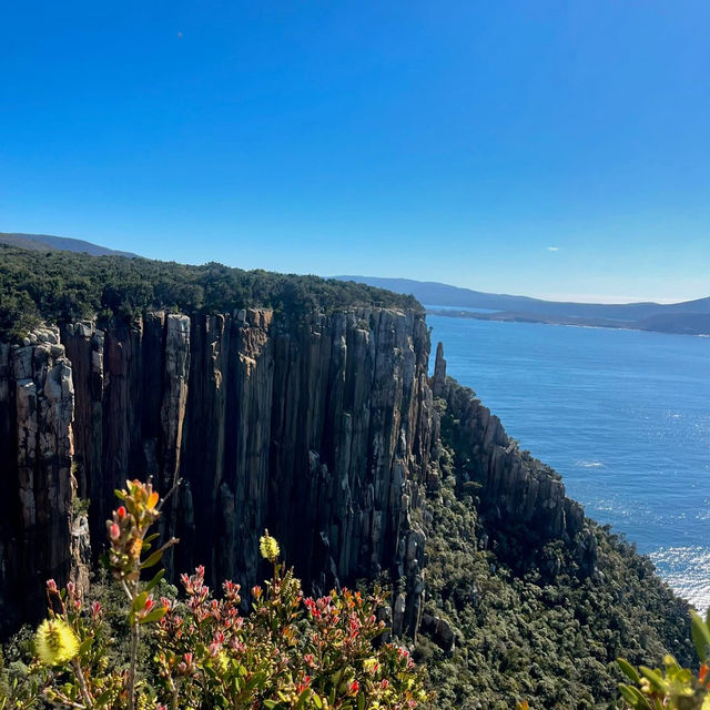 Cape Raoul - Tasmania's Tasman Peninsula 