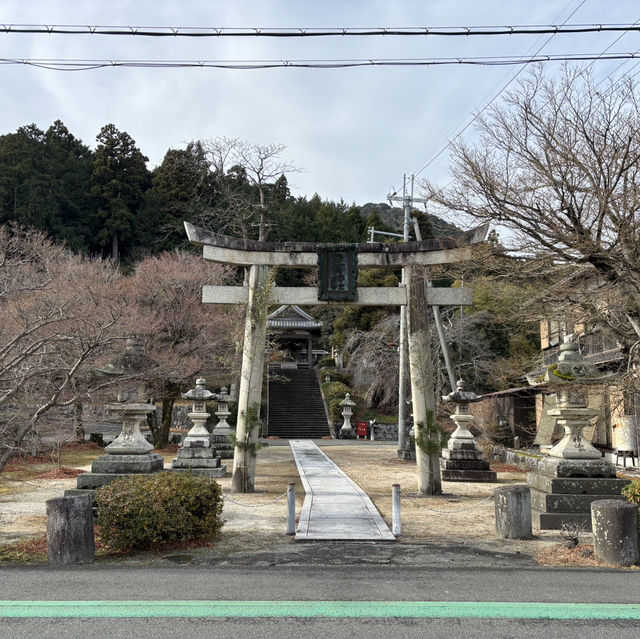 Kyoto was absolutely stunning and wins the hearts of millions