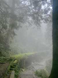 Taipingshan🍃 Nature’s Hidden Masterpiece