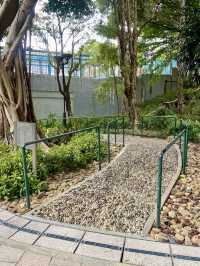 🏝️😎如熱帶雨林般的「城門谷公園」｜香港賞花拍照好地方🔥🏞️