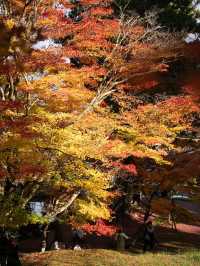 🍁✨ 秋の龍穏寺で静寂と紅葉美を堪能しよう ✨🍁