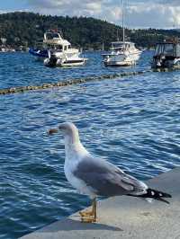 Bebek : A Stroll Through Chic Warerfront