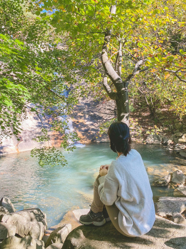 억새가 장관인 포천 명성산