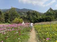 พามาฟิน คาเฟ่เปิดใหม่ Margaret Private Villa&Cafe