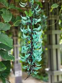 【熱帯の植物が一年中楽しめる】