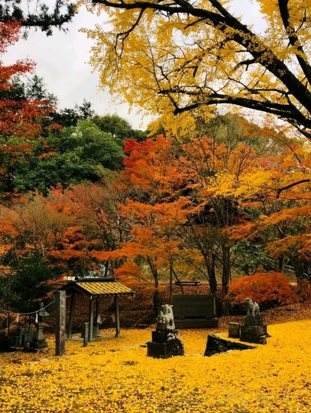 【もみじ神社】