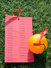 Wishes & Tradition: A Cultural Journey at Lam Tsuen Wishing Tree