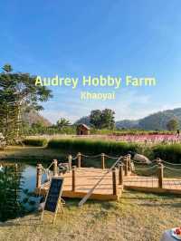 Audrey Hobby Farm 