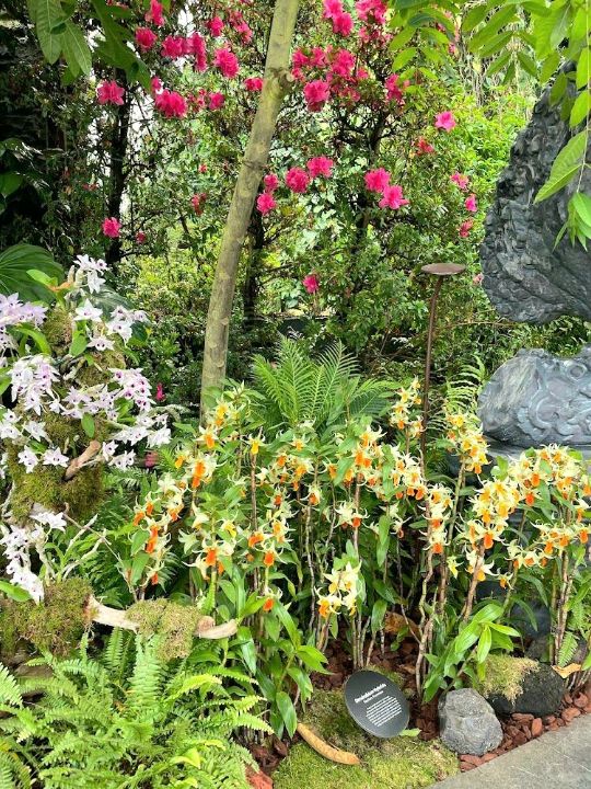 Gardens By The Bay 
