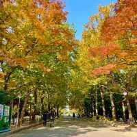 산책하기 좋은 서울공원 3곳 🌳