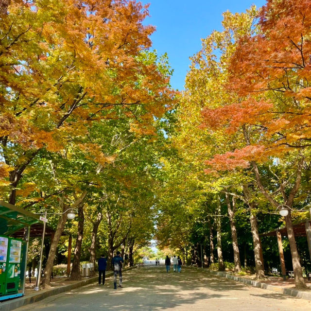 산책하기 좋은 서울공원 3곳 🌳