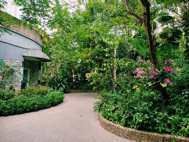 泰國曼谷特色博物館景點:曼谷蝴蝶館。免費參觀，適合打卡拍照📸親子遊