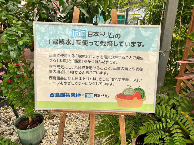 西島園芸団地