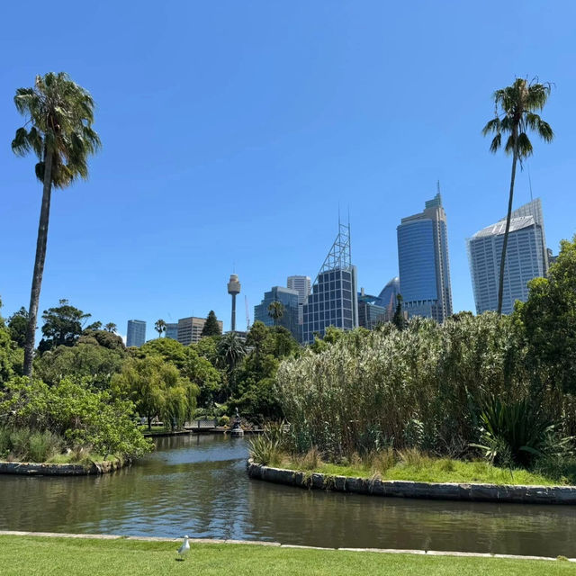 Serene Escape to the Royal Botanic Gardens Sydney