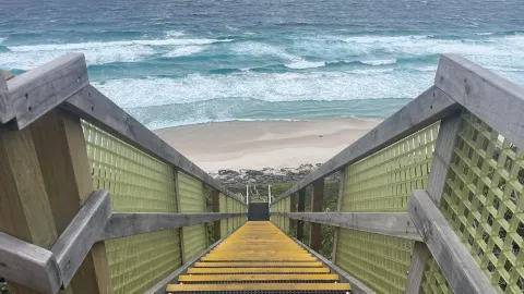 Дания Австралия 🇦🇺 — traveler post in Денмарк