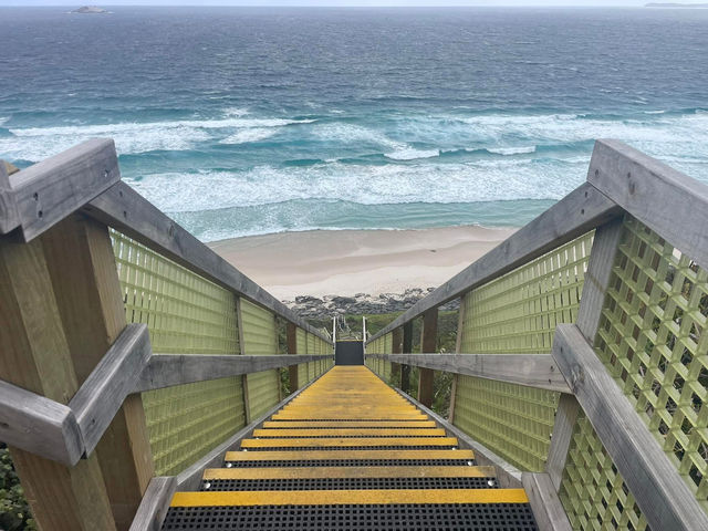 Denmark Australia 🇦🇺 