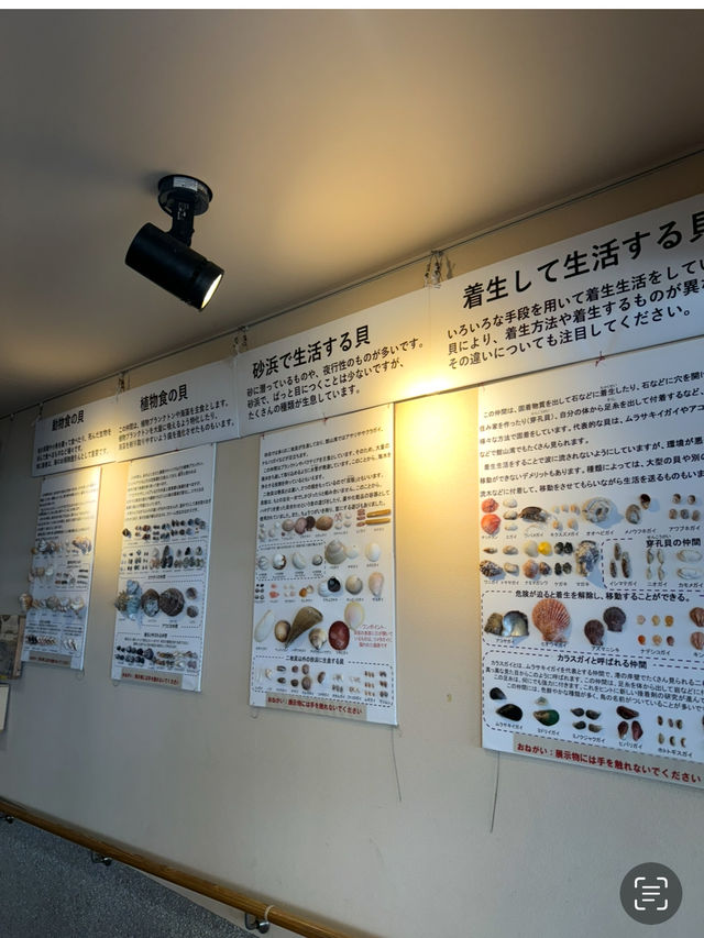 展望台からは館山湾が一望できる千葉の絶景道の駅「渚の駅 たてやま」🫣💞