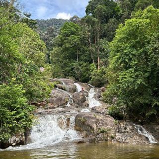Conquering Gunung Ledang: A Mystical Malaysian Trek⛰️