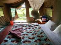 Unforgettable 3-Day Safari in Maasai Mara🦁