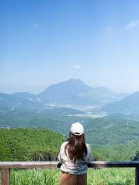 【大分県/由布市】見れる時期は数ヶ月！幻の雲海！？