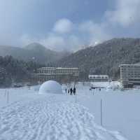 【北海道】冬だけ現れる村！然別湖コタンで絶景と冒険を楽しむ