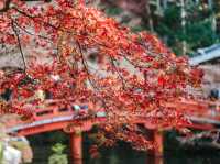 Daigoji Temple
