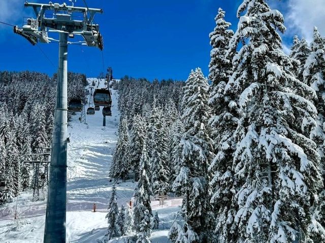 Verbier: The Ultimate Skiing Adventure! ⛷️❄️🔥