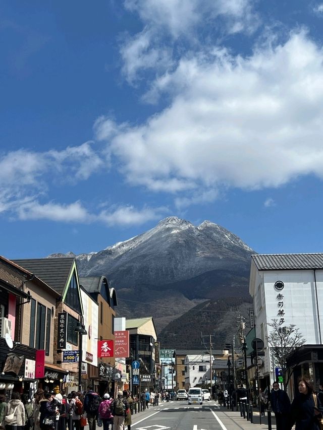 🌄 일본의 웅장함과 맛, 후지산 & 가라토 시장 탐방