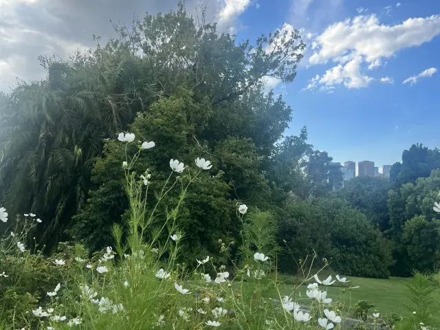 Melbourne Travel Must-Visit Spots